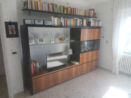 mobile tv signorile.jpeg