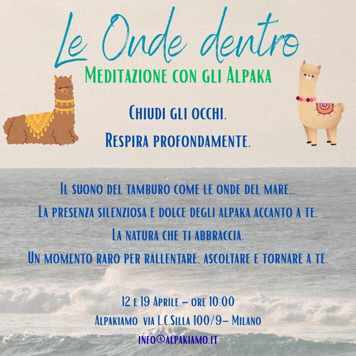 656686249_4372672373060521_7110131824971215808_n.jpeg 656686249_4372672373060521_7110131824971215808_n.jpeg