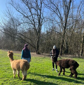 496677318_4060134644314297_529170524549055143_n%20(1).jpeg 496677318_4060134644314297_529170524549055143_n%20(1).jpeg