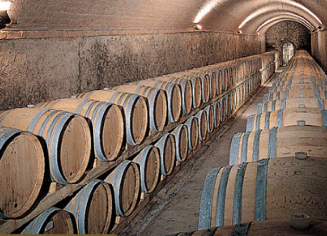 tenute-lionello-marchesi-3.jpeg tenute-lionello-marchesi-3.jpeg
