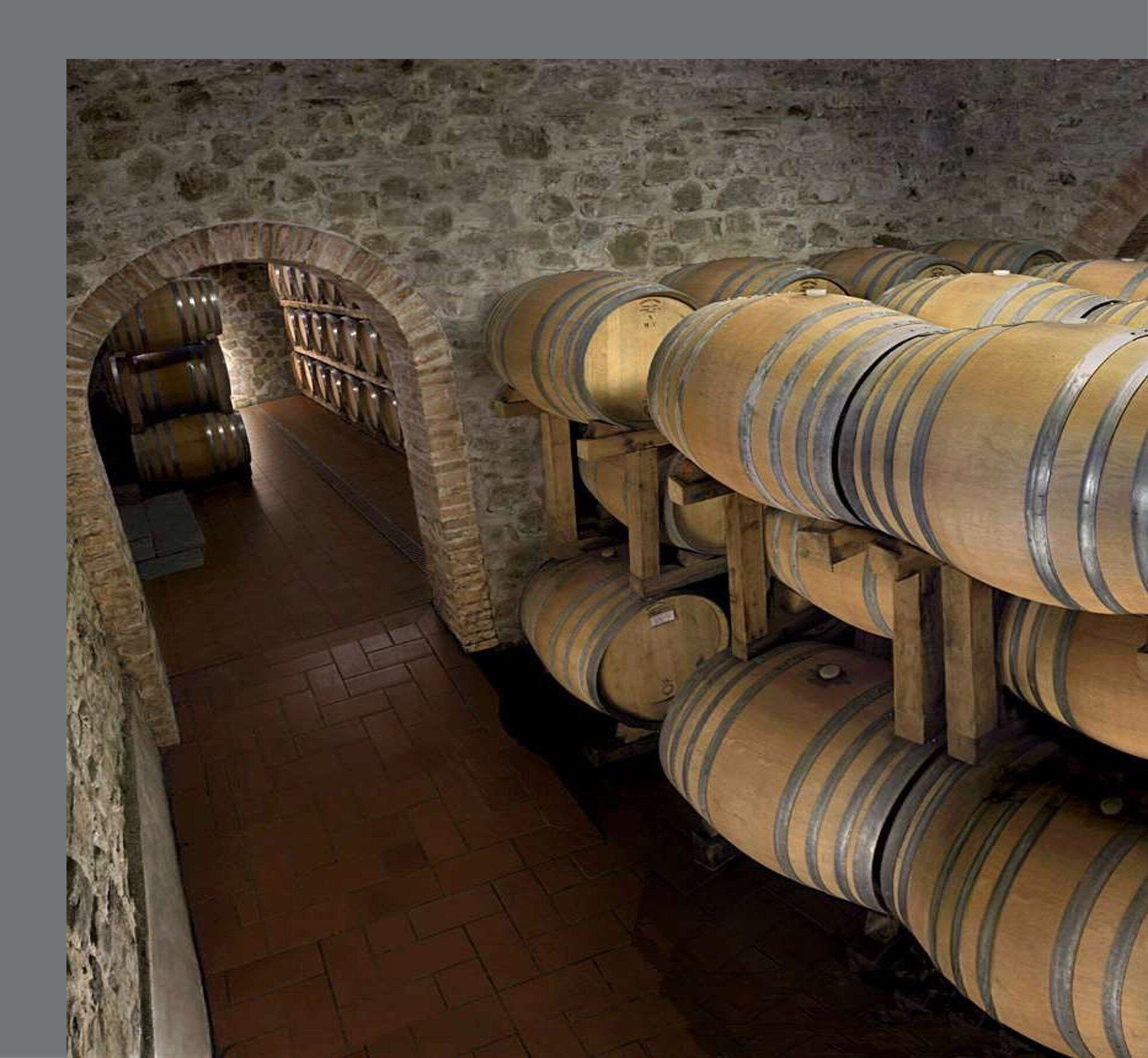 tenute-lionello-marchesi-5.jpeg tenute-lionello-marchesi-5.jpeg