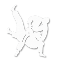 Judoka stilizzati durante proiezione