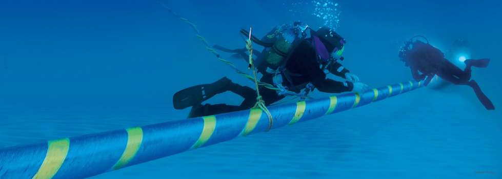 ddl-underwater-art