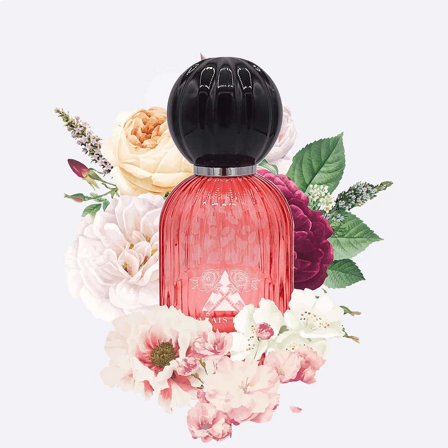 presentation-pale-rose