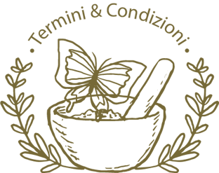 immagine termini e condizioni