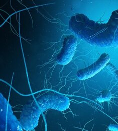 ricerca legionella.jpeg