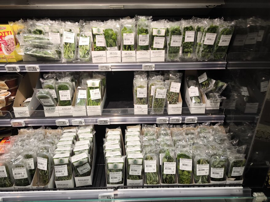 photo-2025-08-02-08-13-28 (1).jpeg