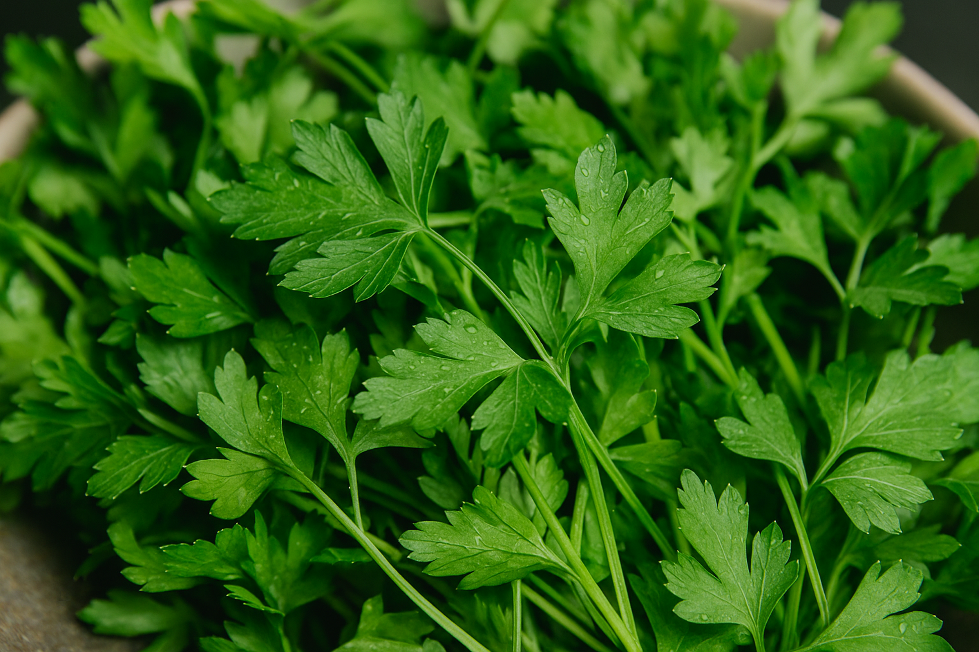 chatgpt image 21 ago 2025, 13_33_49 chatgpt image 21 ago 2025, 13_33_49