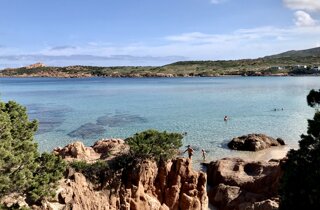 img_1241.jpeg