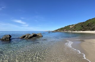 img_1745.jpeg