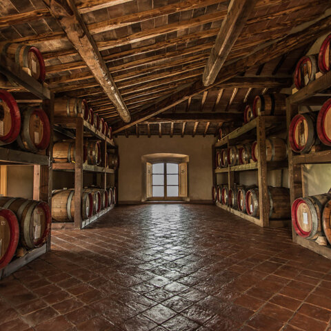 azienda%20villa%20di%20montegrossi%20vigne.jpeg