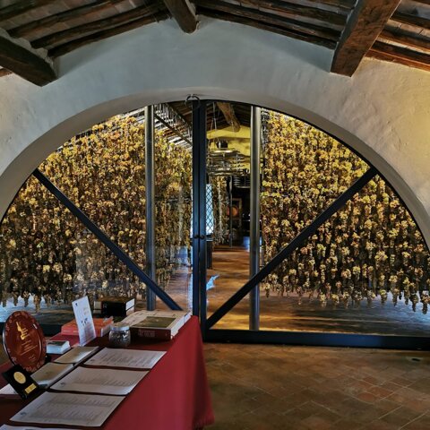 azienda%20villa%20di%20montegrossi%20vinsantaia.jpeg