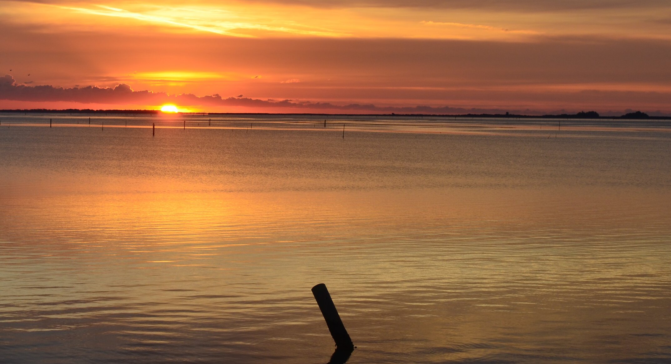 dsc_0567m.jpeg dsc_0567m.jpeg