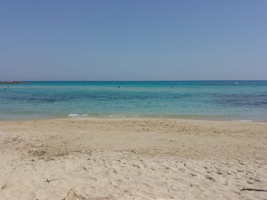 whatsapp image 2025-06-05 at 11.01.35.jpeg