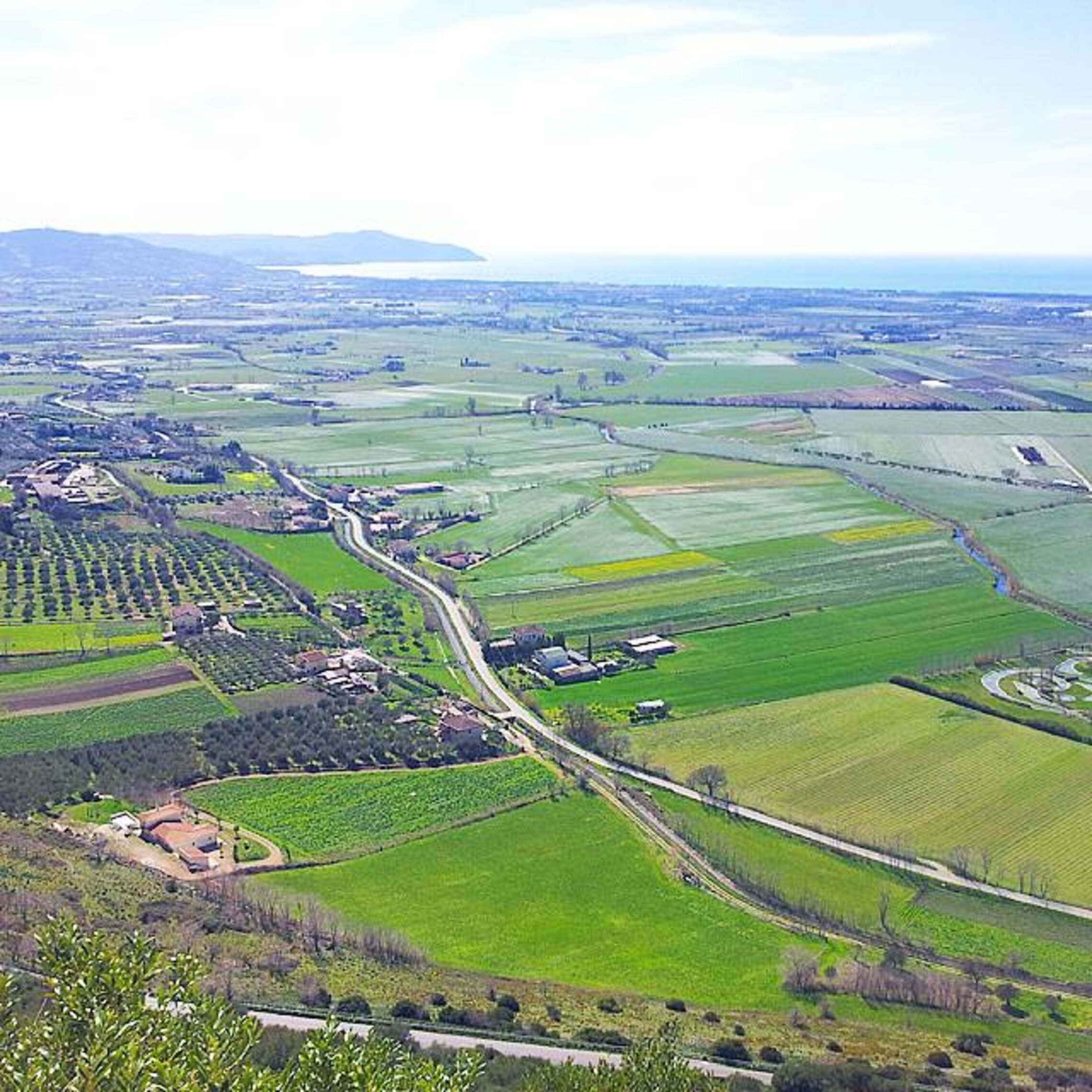 piana del sele.jpeg