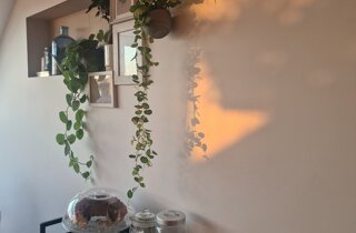 20241005_162229.jpeg
