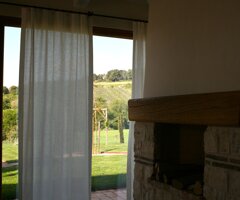 img_8708.jpeg
