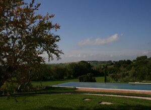 img_8726.jpeg