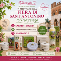 Fiera Sant'Antonino a Piacenza