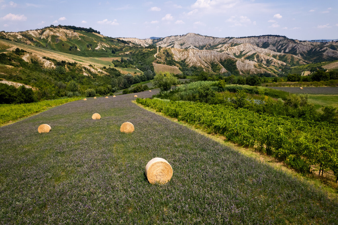 dji_0956-2.jpeg