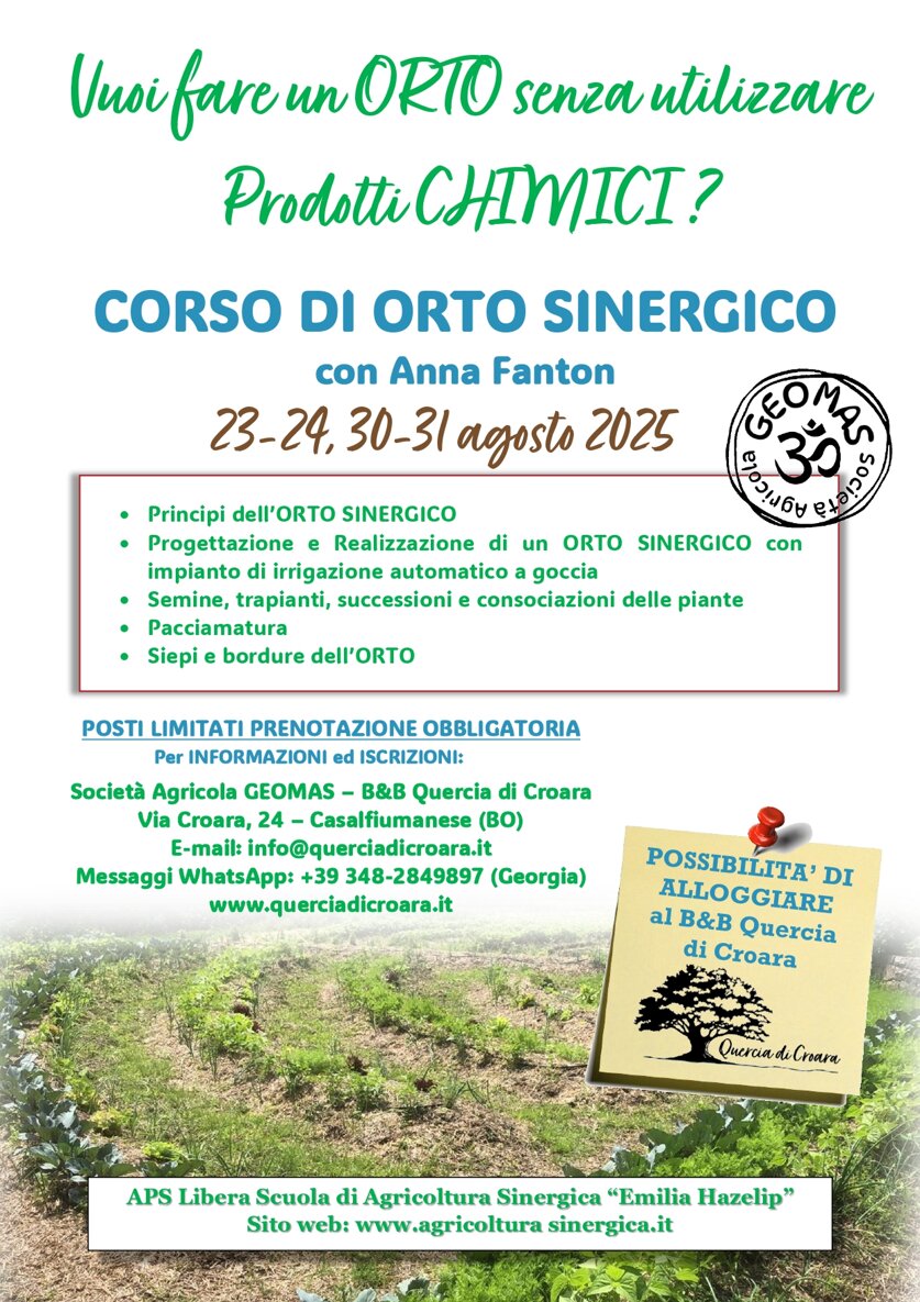 volantino - agosto 2025_page-0001.jpeg