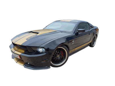 mustang sfondo bianco
