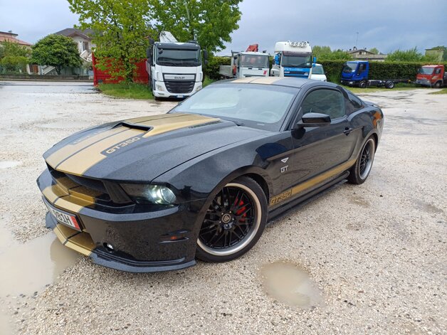 mustang.jpeg