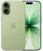 apple-17-256gb-salvia