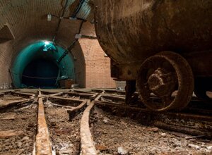 images%20(20).jpeg images%20(20).jpeg