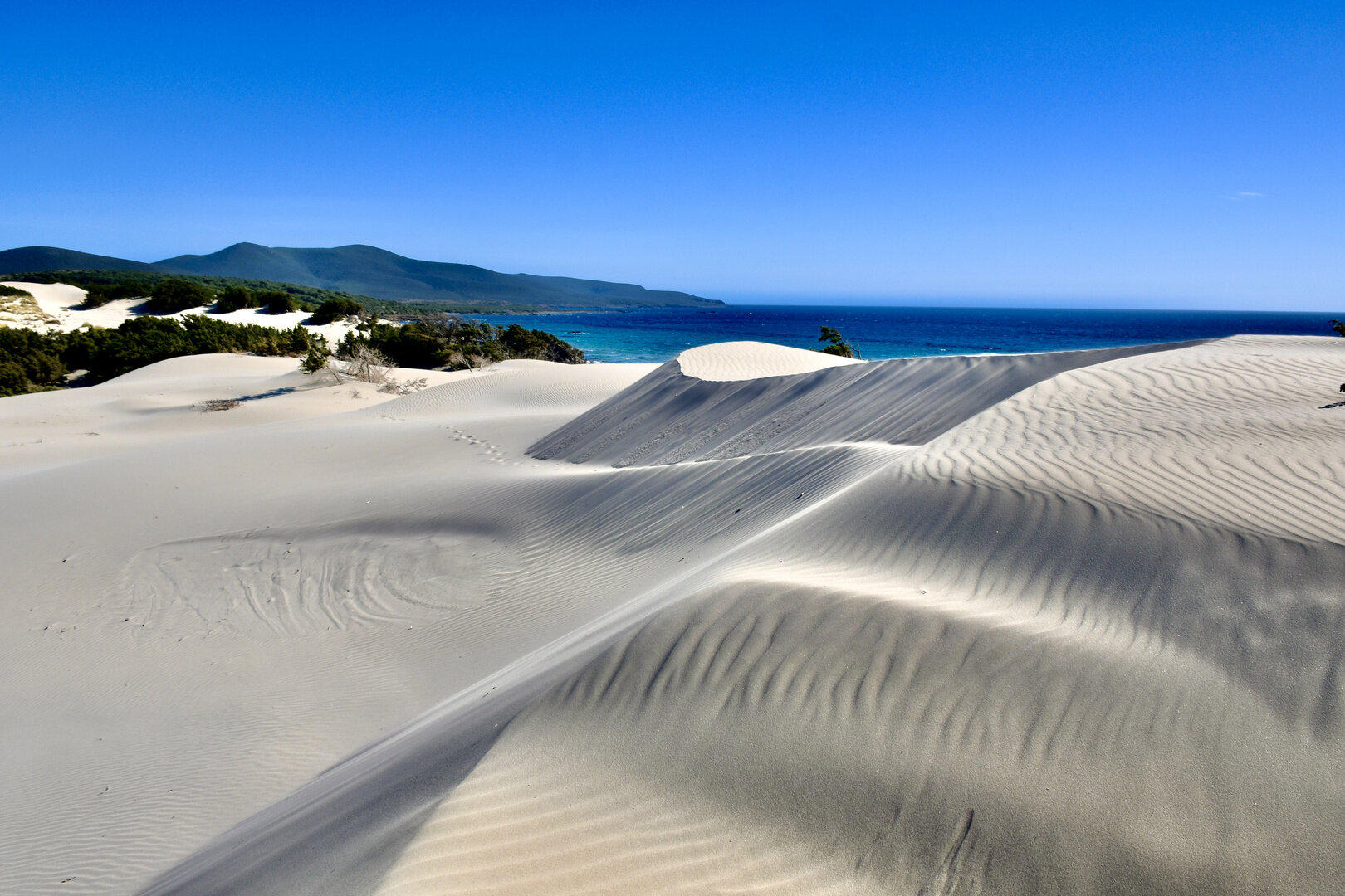 dune-is-arenas-biancas-teulada-sud-sardegna-fonte-fotocommunity.jpeg
