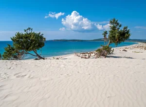 p9030691_r16x9_paolomagnani_2020_w640.jpeg p9030691_r16x9_paolomagnani_2020_w640.jpeg