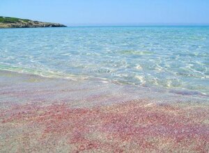 maxresdefault%20(2).jpeg maxresdefault%20(2).jpeg