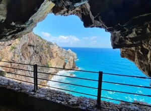 galleria-henry.jpeg galleria-henry.jpeg