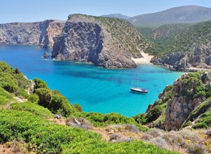 images%20(16).jpeg images%20(16).jpeg