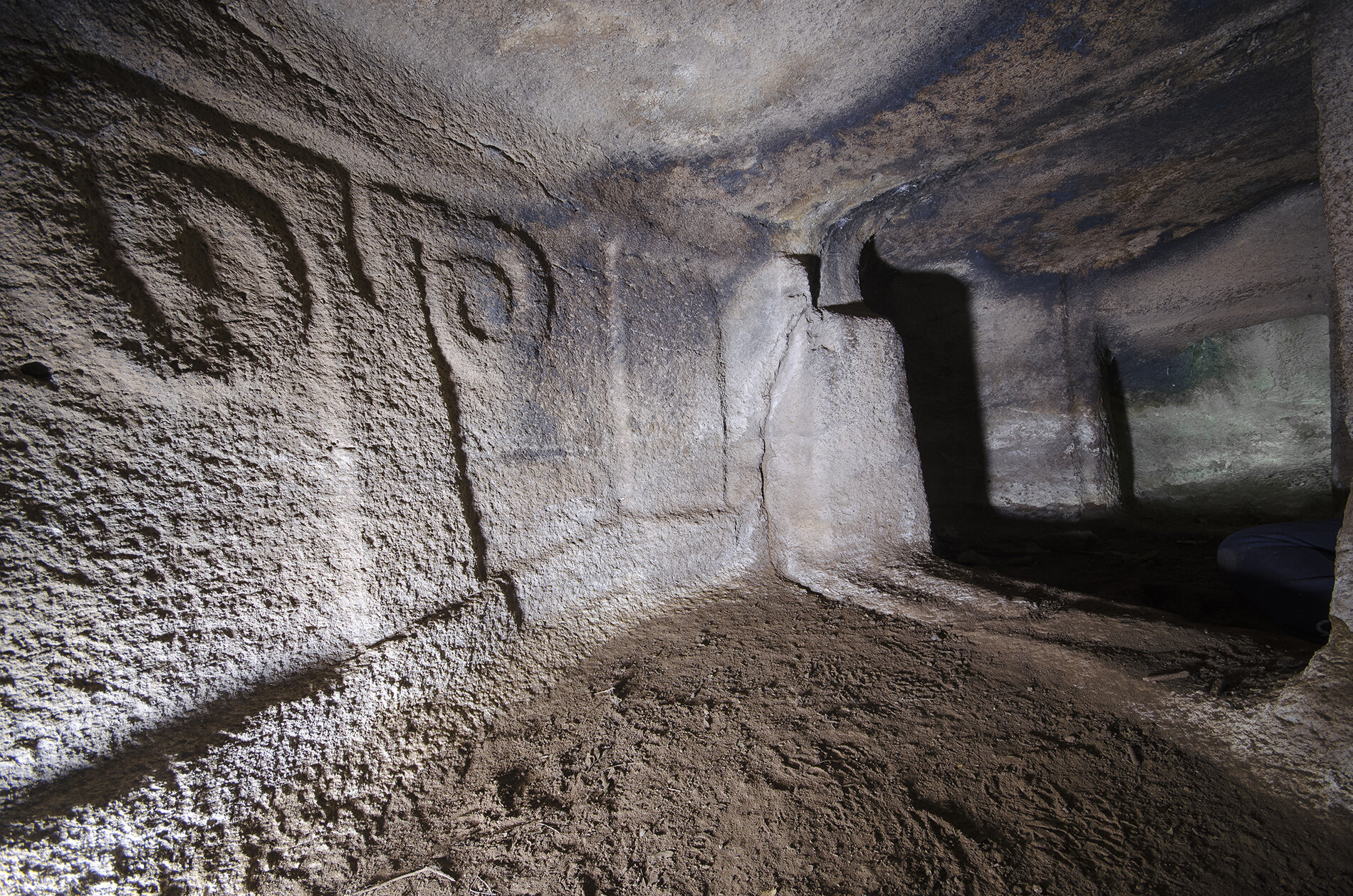 3_domus_ariete_perfugas.jpeg 3_domus_ariete_perfugas.jpeg