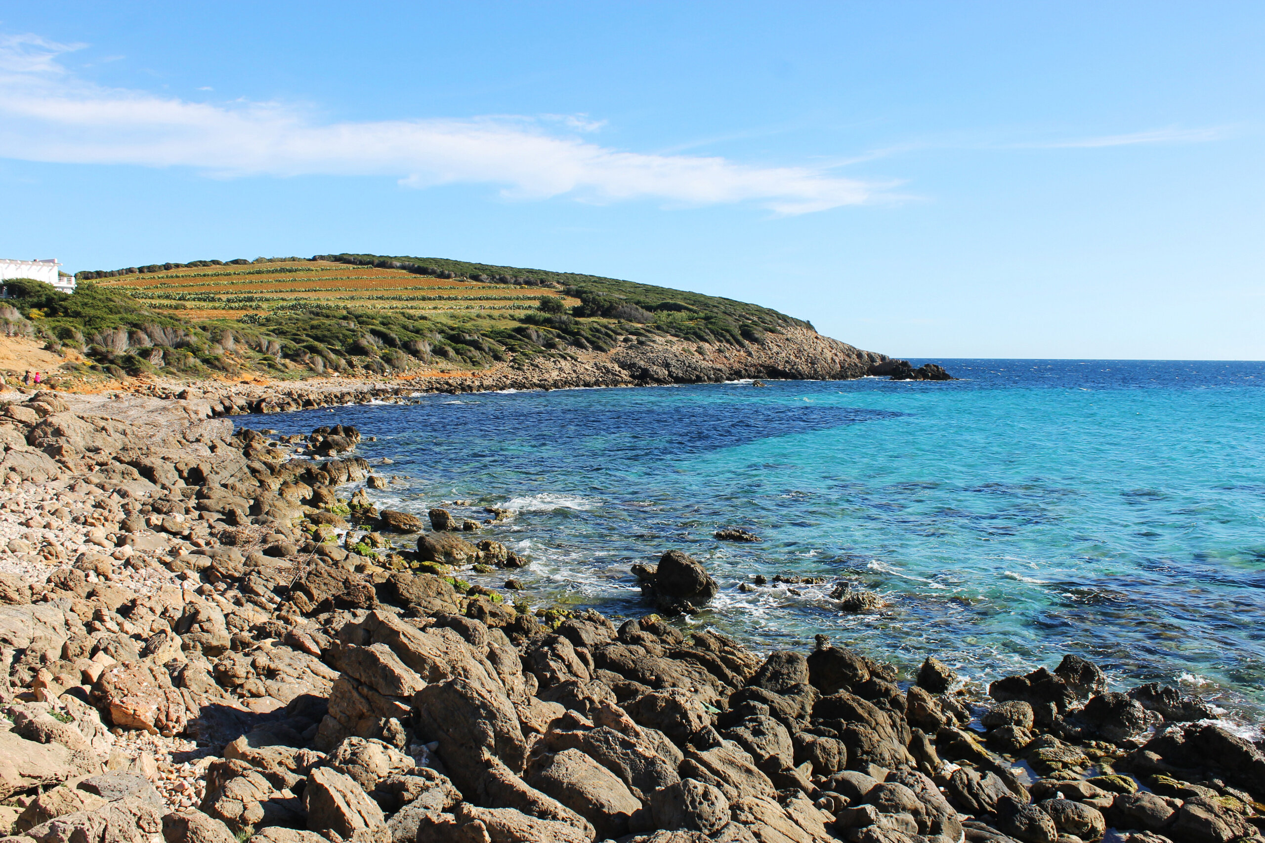 img_1647mod-scaled.jpeg img_1647mod-scaled.jpeg