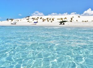 cau_9727-copia.jpeg cau_9727-copia.jpeg