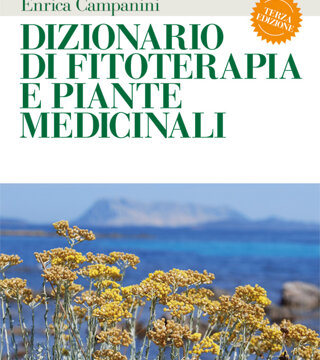 filosofia%20perozziello_large.jpeg