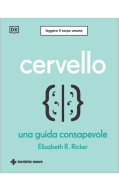 cervello 125x200