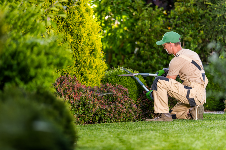 manutenzione verde emilia romagna