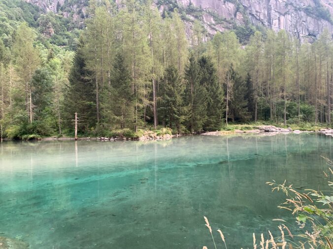 whatsapp image 2025-12-17 at 14.49.43.jpeg whatsapp image 2025-12-17 at 14.49.43.jpeg