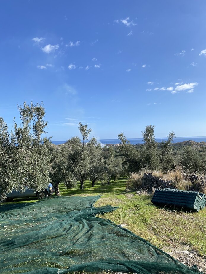 16175_ea91253e6737f94fb1f8dcaf852bffe1b2a64c3d