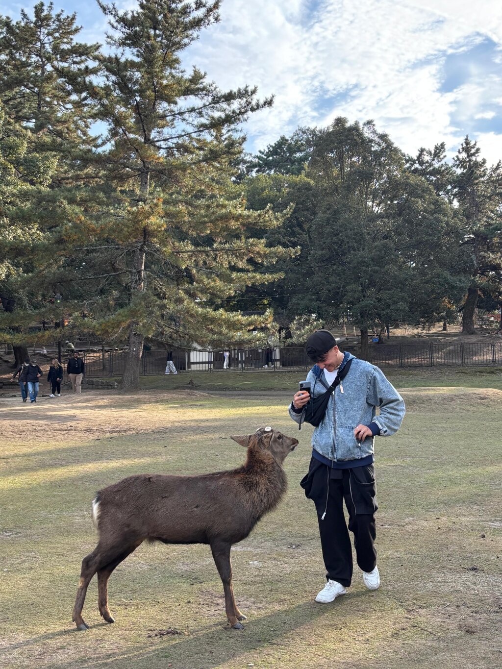 whatsapp image 2025-11-27 at 17.11.25 (1).jpeg