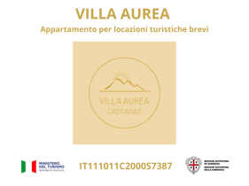 cin it111011c2000s7387