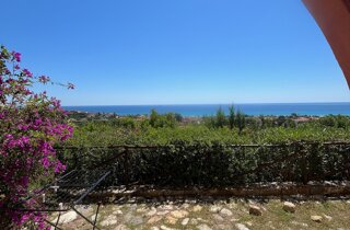 img_4753.jpeg