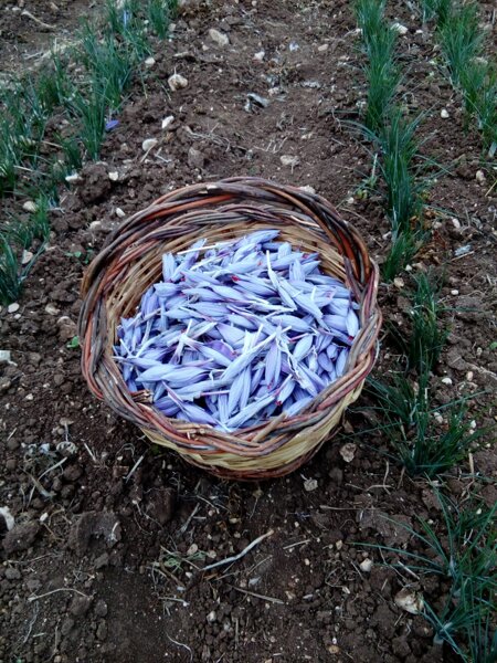 whatsapp image 2023-01-24 at 18.05.06.jpeg whatsapp image 2023-01-24 at 18.05.06.jpeg