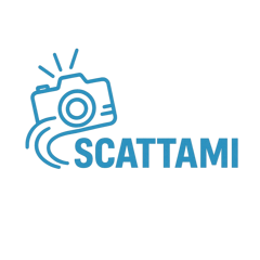 scattami vettoriale scattami vettoriale