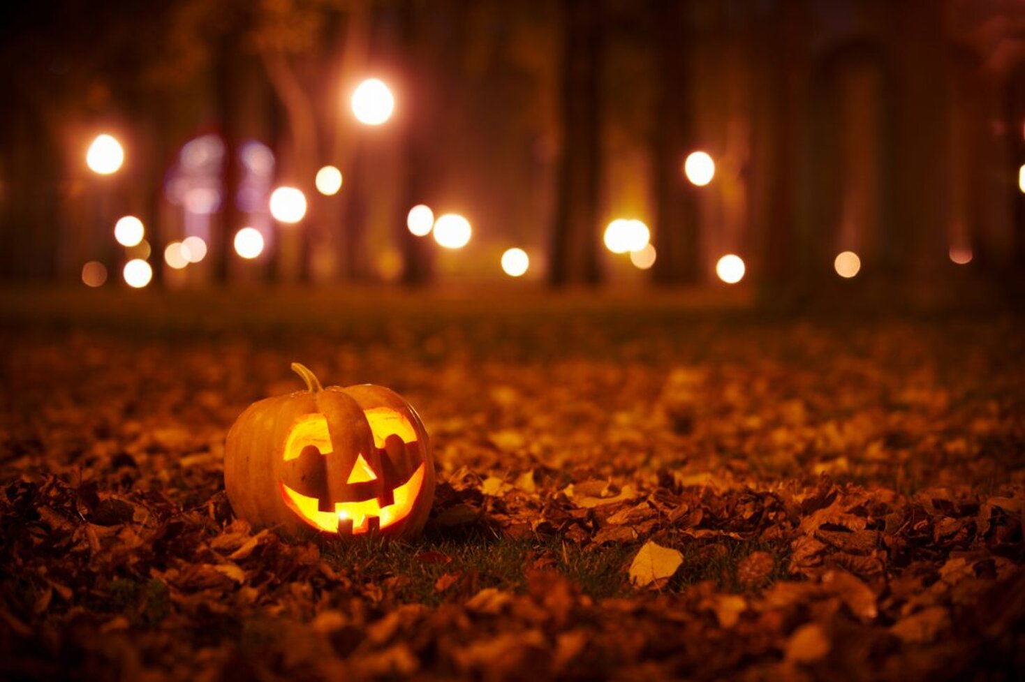 halloween-zucche-istock-613872604-1080x719.jpeg