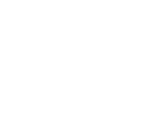 vahine logo bianco_bianco