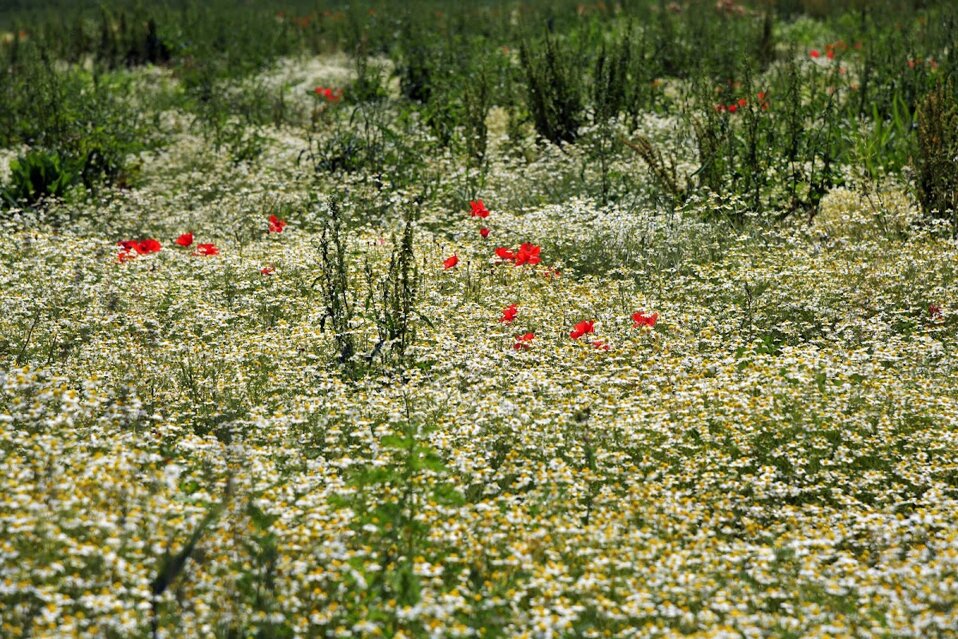 16304_73c8e471d747ee7f2b19932a740e6de03ae7e52e 16304_73c8e471d747ee7f2b19932a740e6de03ae7e52e